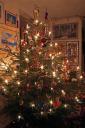 weihnachtsbaum2008a.jpg