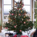 quierschied-tannenbaum.jpg