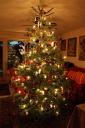 weihnachtsbaum2010a.jpg