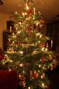weihnachtsbaum2010b.jpg