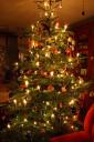 weihnachtsbaum2010c.jpg
