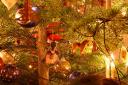 weihnachtsbaum2010e.jpg
