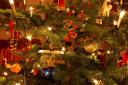 weihnachtsbaum2010f.jpg