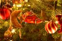 weihnachtsbaum2010i.jpg