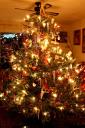 tannenbaum2011a.jpg